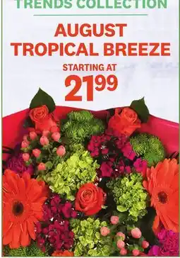 Kings Food Markets AUGUST TROPICAL BREEZE offer