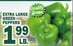 Bravo Supermarkets EXTRA LARGE GREEN PEPPERS offer