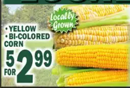 Bravo Supermarkets YELLOW, BI-COLORED CORN offer