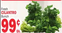 Bravo Supermarkets CILANTRO offer