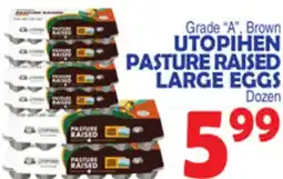Bravo Supermarkets UTOPIHEN PASTURE RAISED LARGE EGGS offer