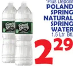 Bravo Supermarkets POLAND SPRING NATURAL SPRING WATER offer