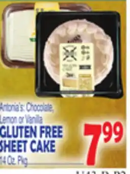 Bravo Supermarkets GLUTEN FREE SHEET CAKE offer