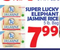 Bravo Supermarkets SUPER LUCKY ELEPHANT JASMINE RICE offer