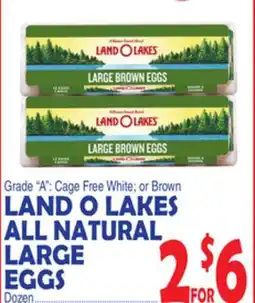 Bravo Supermarkets LAND O LAKES ALL NATURAL LARGE EGGS offer