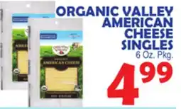 Bravo Supermarkets ORGANIC VALLEY AMERICAN CHEESE SINGLES offer