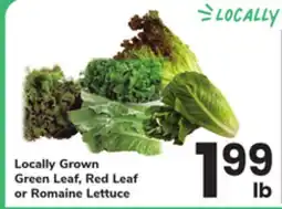 ACME Locally Grown Green Leaf, Red Leaf or Romaine Lettuce offer