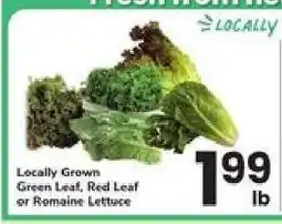 Safeway Locally Grown Lettuce offer