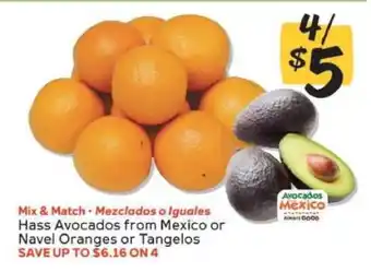 Hass Avocados or Navel Oranges or Tangelos