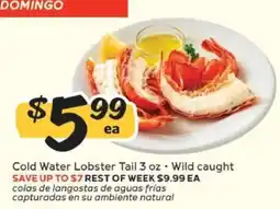 Winn Dixie Cold Water Lobster Tail offer
