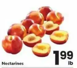 Safeway Nectarines offer