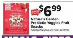 Giant Food Nature's Garden Probiotic Yoggies Fruit Snacks offer