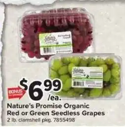 Giant Food Nature's Promise Organic Red or Green Seedless Grapes offer