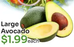 Tokyo Central Specialty Market Large Avocado offer