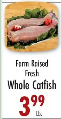 Garden Fresh Market Farm Raised Fresh Whole Catfish offer