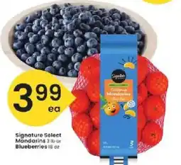 Albertsons Signature Select Mandarins or Blueberries offer