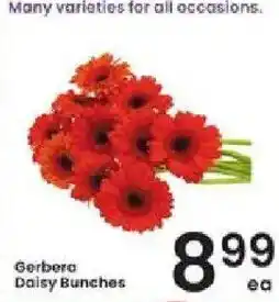 Albertsons Gerbera Daisy Bunches offer