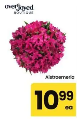 Albertsons Overjoyed Boutique Alstroemeria offer