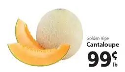 Hugo's Supermarkets Golden Ripe Cantaloupe offer