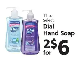 Hugo's Supermarkets Select Dial Hand Soap offer