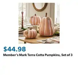 Sam's Club Member's Mark Terra Cotta Pumpkins, Set of 3 offer