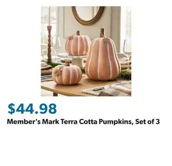 Sam's Club Member's Mark Terra Cotta Pumpkins, Set of 3 offer