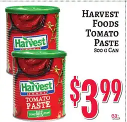 Trade Fair Supermarket HARVEST FOODS TOMATO PASTE offer