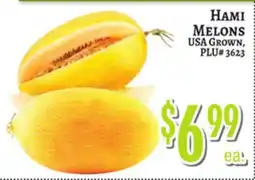 Trade Fair Supermarket HAMM MELONS offer