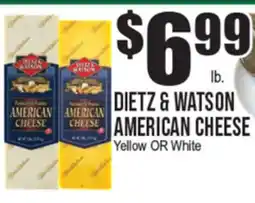 Extra Supermarket DIETZ & WATSON AMERICAN CHEESE offer