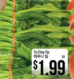 Hmart Yu Choy Tip offer