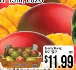 Hmart Tommy Mango offer