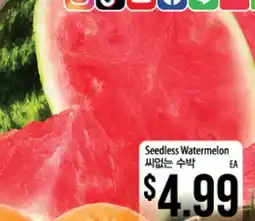 Hmart Seedless Watermelon offer