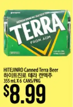 Hmart HITEJINRO Canned Terra Beer offer