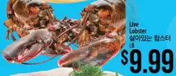 Hmart Live Lobster offer