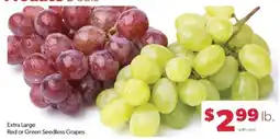 Family Fare Extra Large Red or Green Seedless Grapes offer