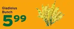 Hannaford Gladiolus Bunch offer