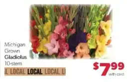 Family Fare Michigan Grown Gladiolus offer