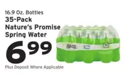 Hannaford Nature's Promise Spring Water offer