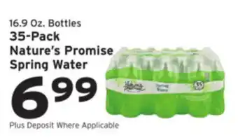 Nature's Promise Spring Water
