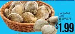 Hmart Live Top Neck Clams offer