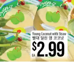 Hmart Young Coconut with Straw offer