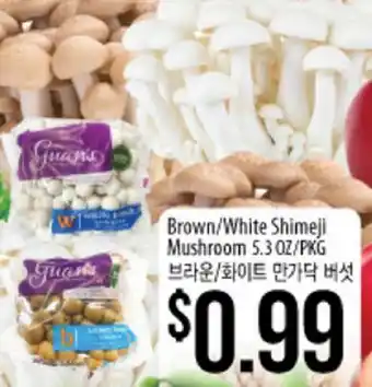 Hmart Brown/White Shimeji Mushroom offer