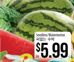 Hmart Seedless Watermelon offer
