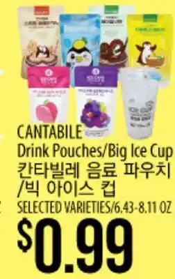 Hmart CANTABILE Drink Pouches.Big Ice Cup offer