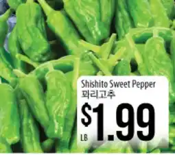 Hmart Shishito Sweet Pepper offer