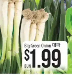 Hmart Big Green Onion offer