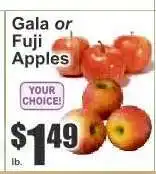 Key Food Gala or Fuji Apples offer