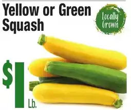 King Kullen Yellow or Green Squash offer