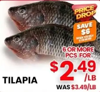 Tilapia
