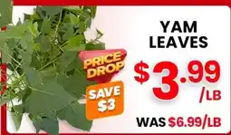 Seafood City Yam Leaves offer